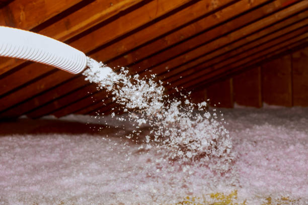 Best Insulation Installation Services in Long Branch, NJ
