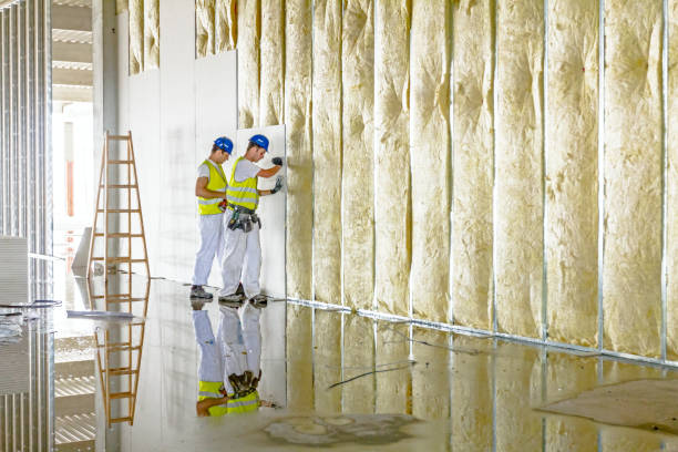 Best Insulation Maintenance and Repair in Long Branch, NJ
